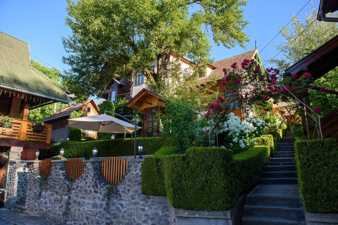 Отель Casa Edy Совата Экстерьер фото