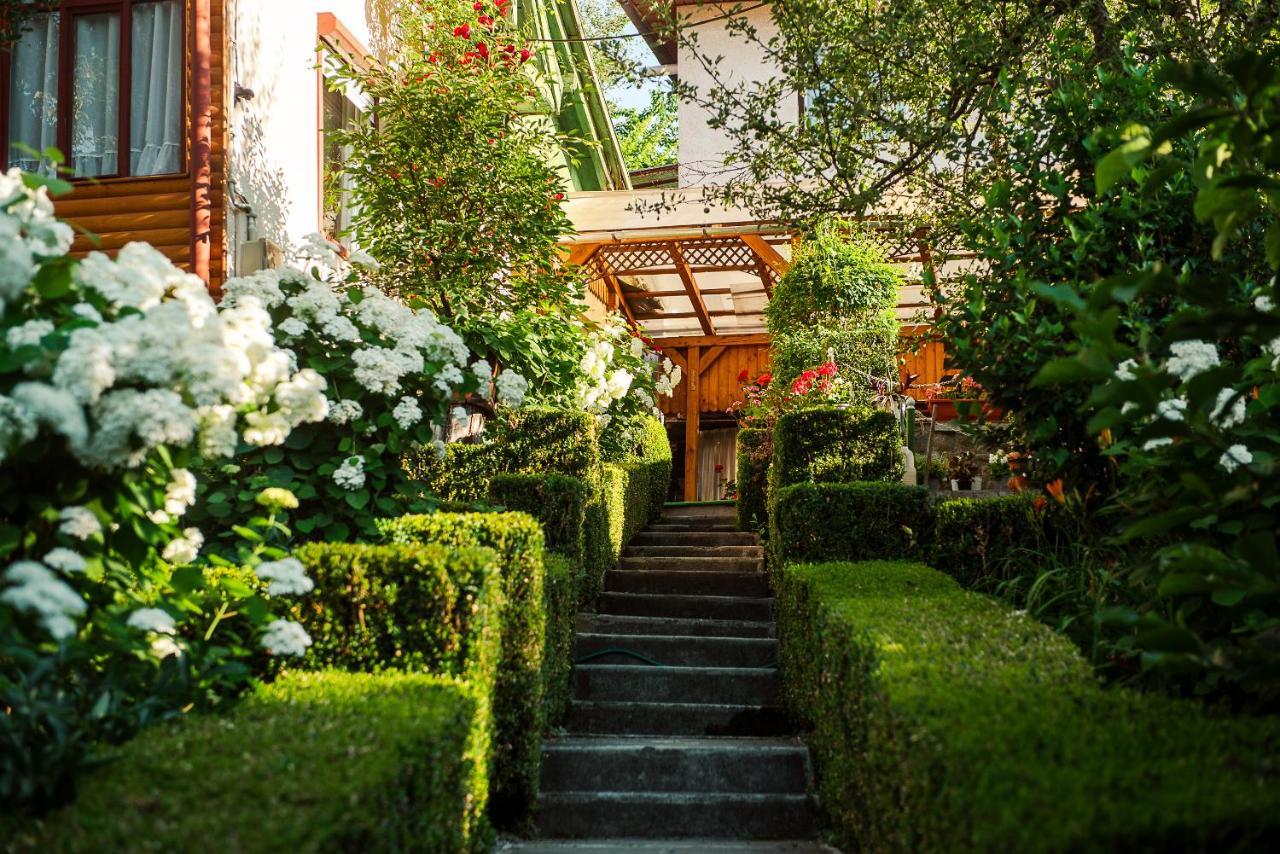 Отель Casa Edy Совата Экстерьер фото