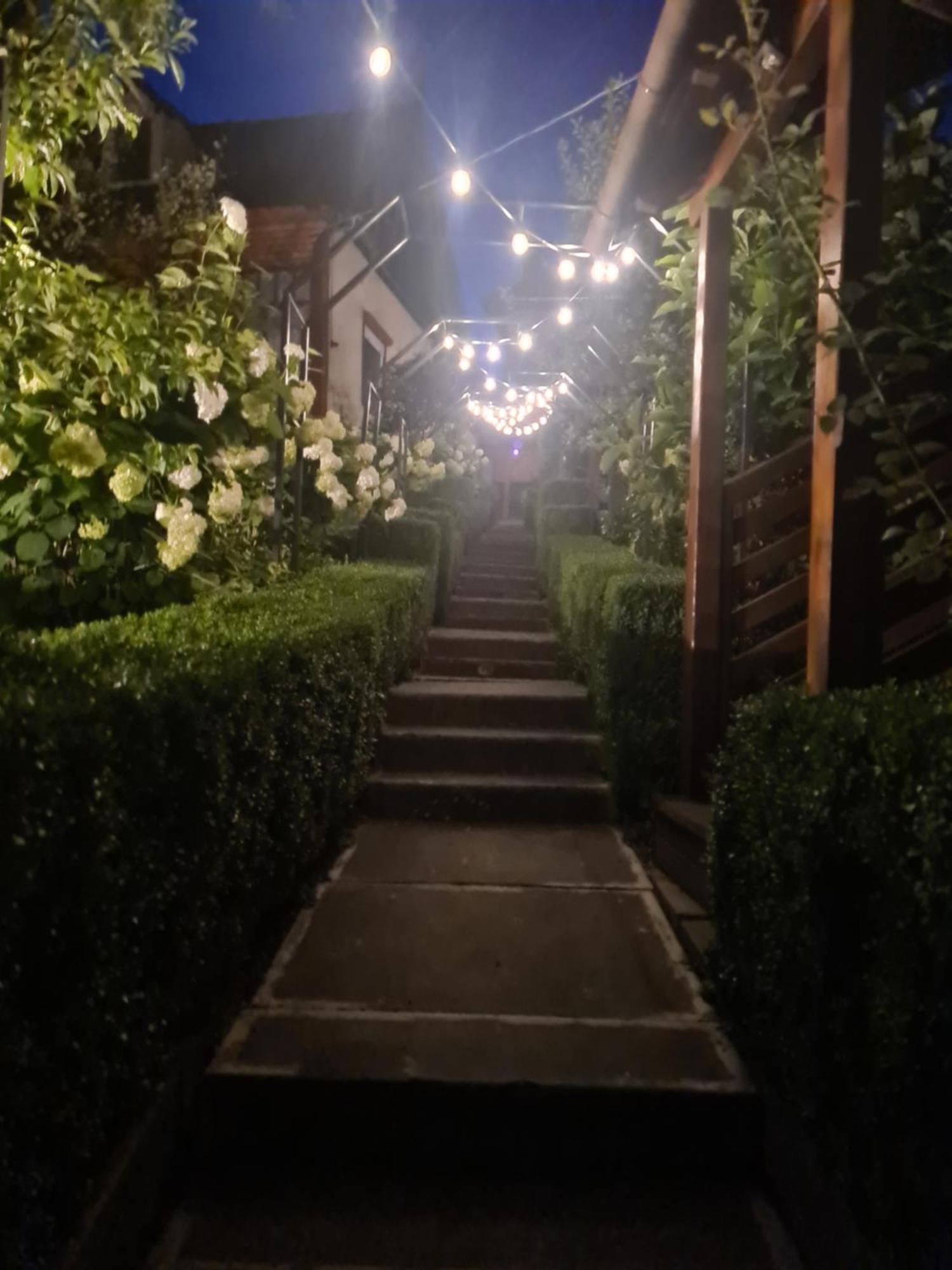Отель Casa Edy Совата Экстерьер фото